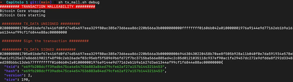 Snapshot dell’esempio replicato.