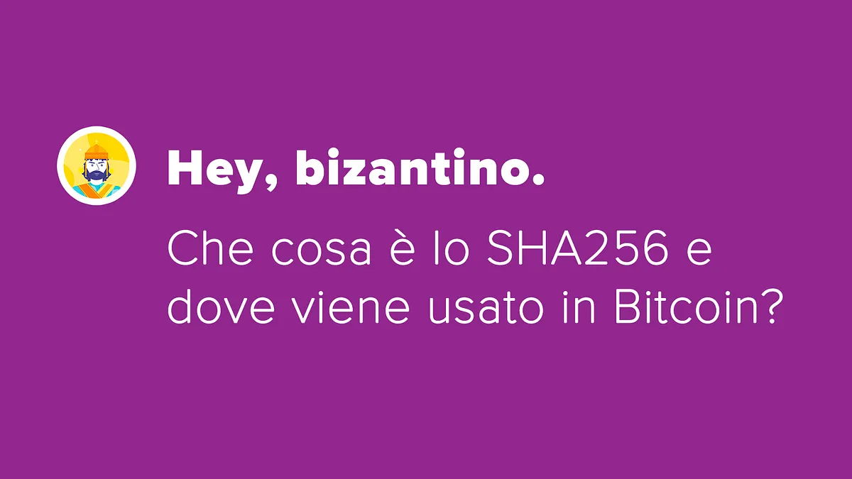 Che cosa è lo SHA256?