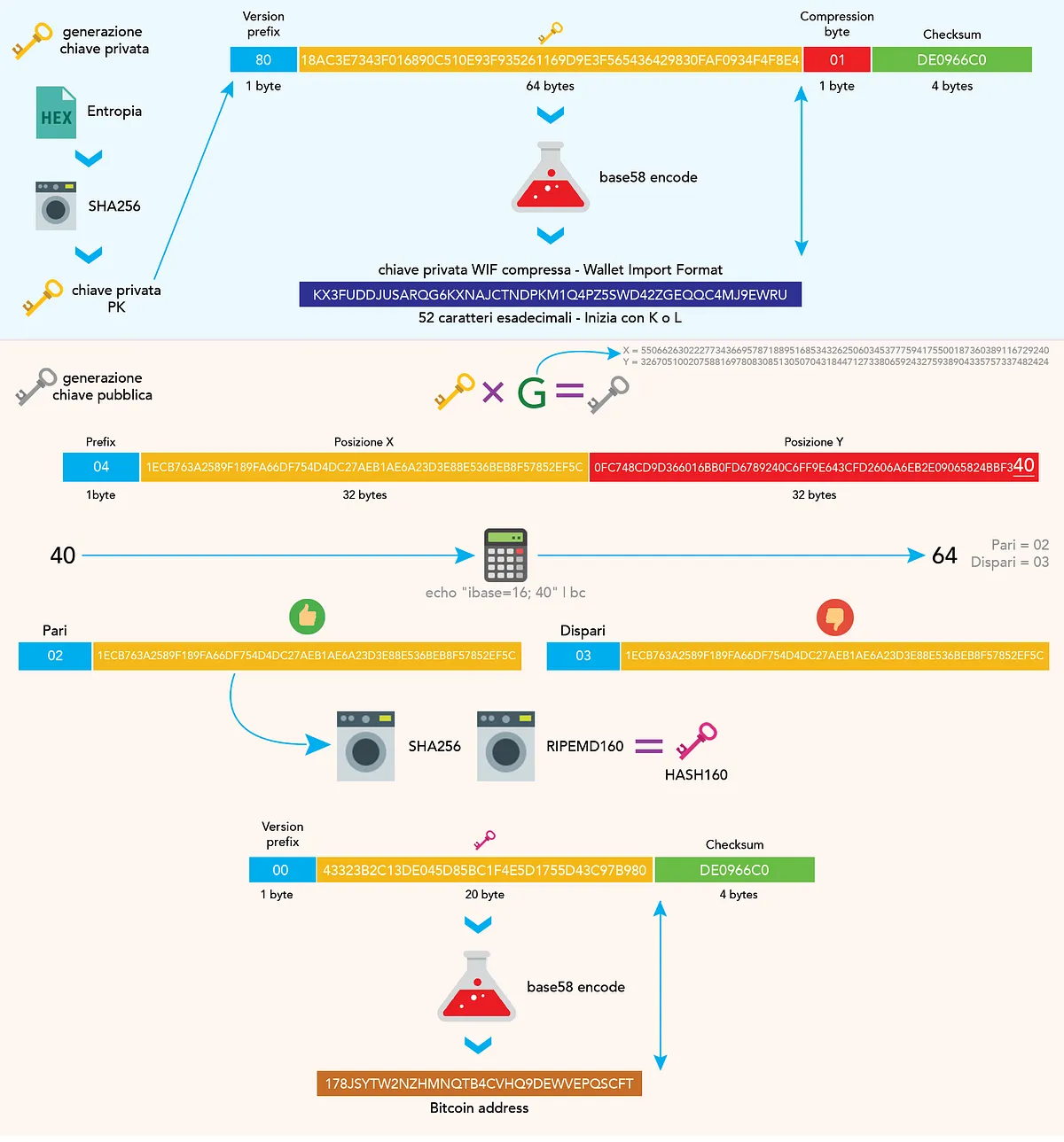 SPOILER P2PKH! 👀 — La parte iniziale è identica al P2PK