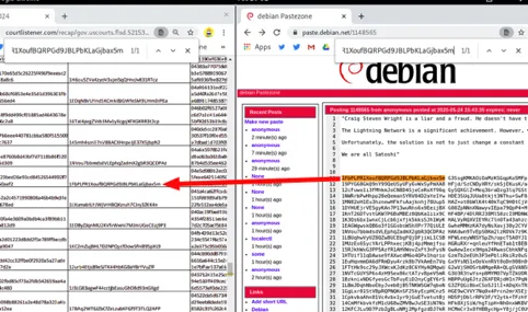 Capitolo “L’affaire Satoshi” a p.121